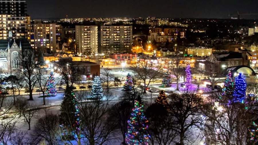 Victoria Park at night with holiday lights decorating trees 