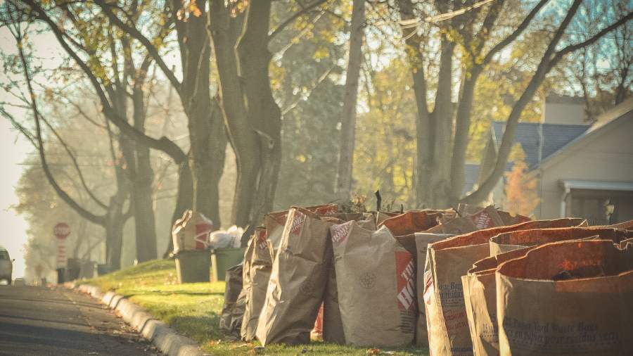 Bags of yard waste are set to the curb of a neighbourhood street on a bright sunny morning. 
