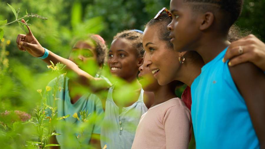 A woman and group of children take a closer look at a green plant.